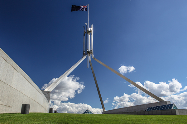 Parliament flag 1